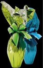 Immagine del contenuto web
