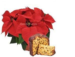 Immagine del contenuto web